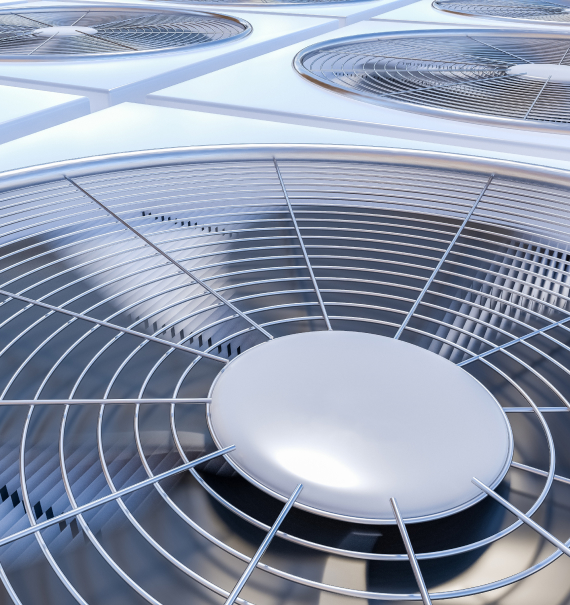 Our Specialties
